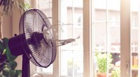 Stay cool: Die besten Ventilatoren laut Stiftung Warentest