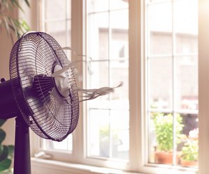 Stay cool: Die besten Ventilatoren laut Stiftung Warentest