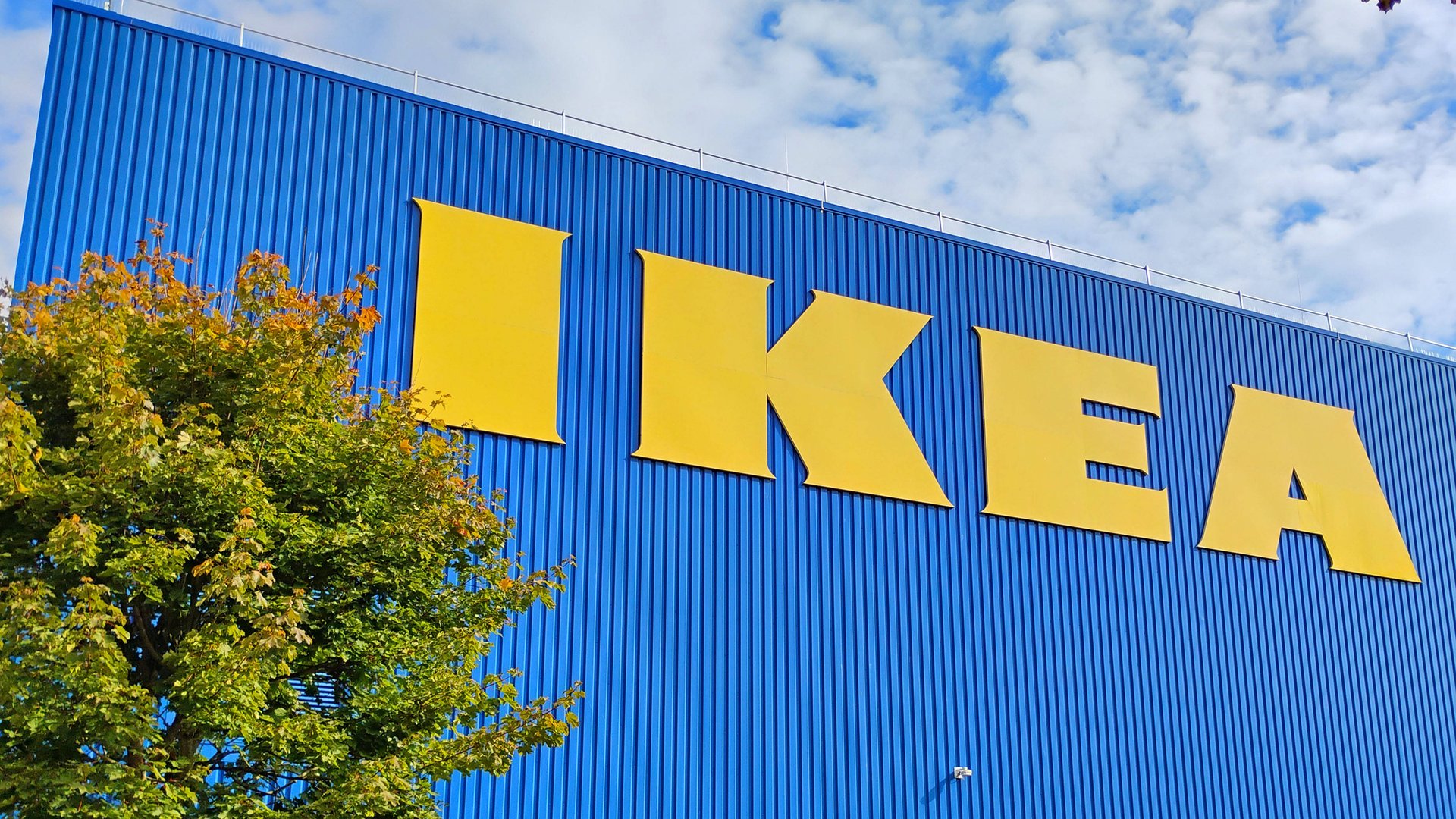 Lass-die-K-lte-drau-en-Mit-dem-bunten-Plaid-von-Ikea-kuschelst-du-dich-durch-den-Winter