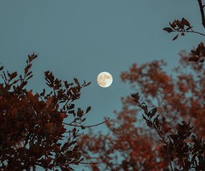 16 Tricks, wie du trotz Vollmond gut schlafen kannst