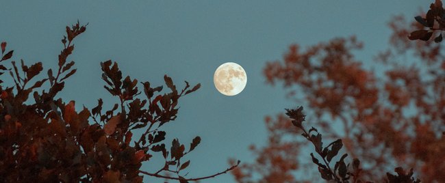 Mit diesen Tricks kannst du trotz Vollmond gut schlafen