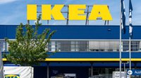 Günstige Pflanzen-Deko: Dieser Ikea-Hack versteckt leere Wände