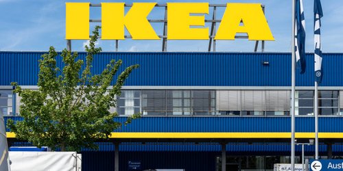 Stylisher Pflanzenhack: Dieses Ikea-Produkt sieht an der Wand klasse aus