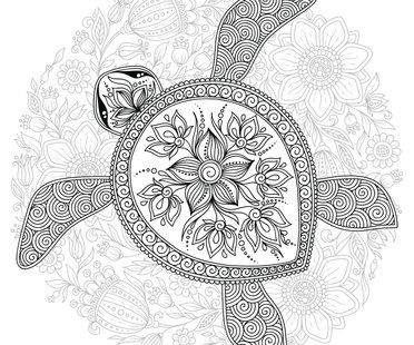 Schildkröte-Tattoo-Vorlagen