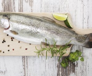 Fisch filetieren: Kochen für Angeber