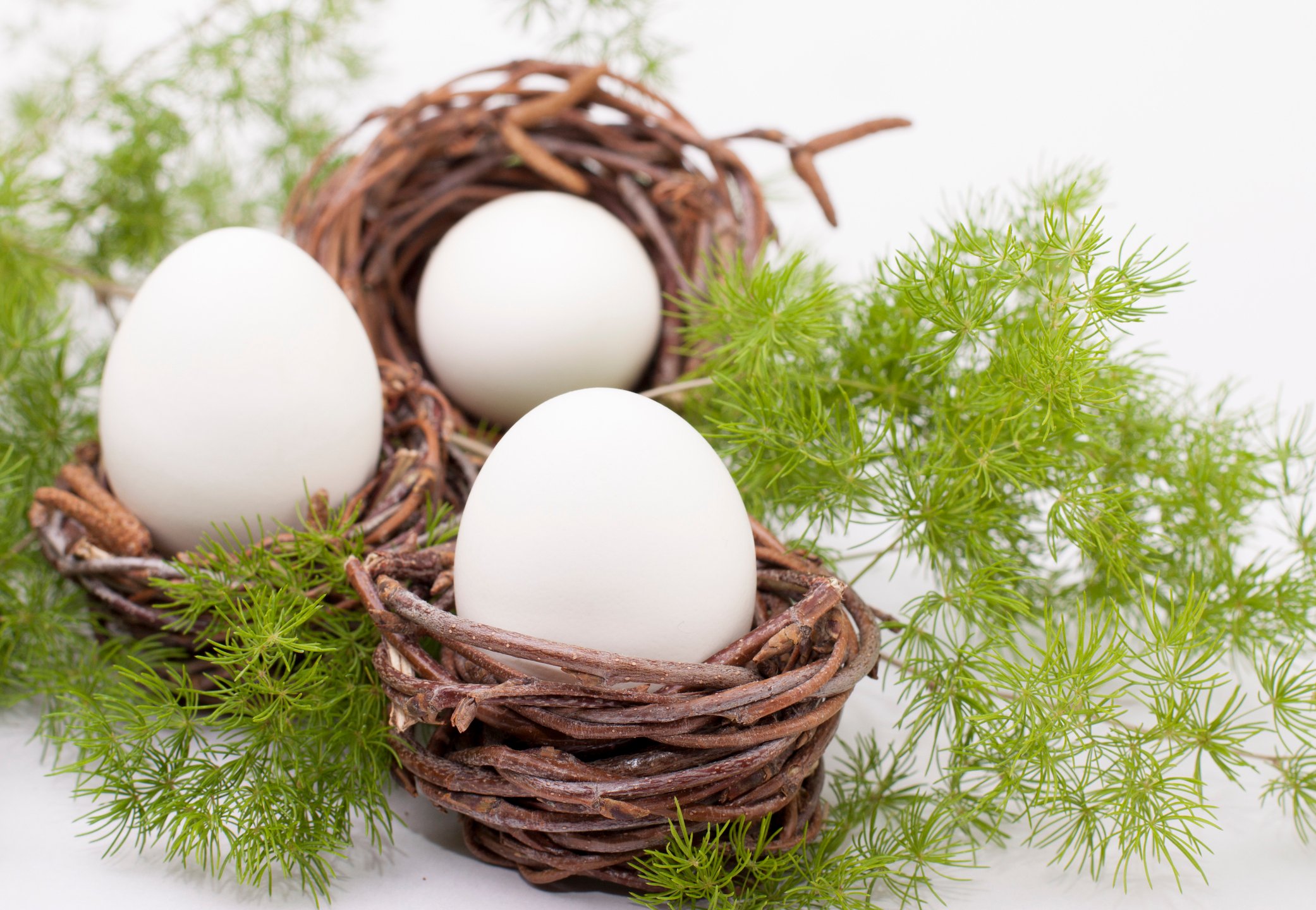 Süße Mini-Weidenkörbchen haben Platz für jeweils ein Ei.