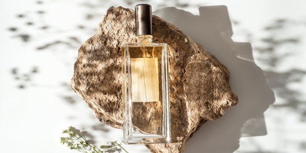 Belebender Duft: Hol dir dieses fruchtige Parfum mit Rosmarin und Orangenschalen bei dm