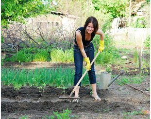 Gartenarbeit Gartenarbeit