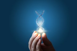 DNA-Analyse DNA-Analyse