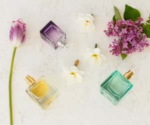 Zedernholz, weißer Moschus und Cashmeran: Dieser Duft von Rossmann passt immer