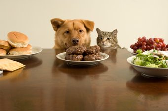 Essen gegen Kater gesund oder fettig Essen gegen Kater gesund oder fettig