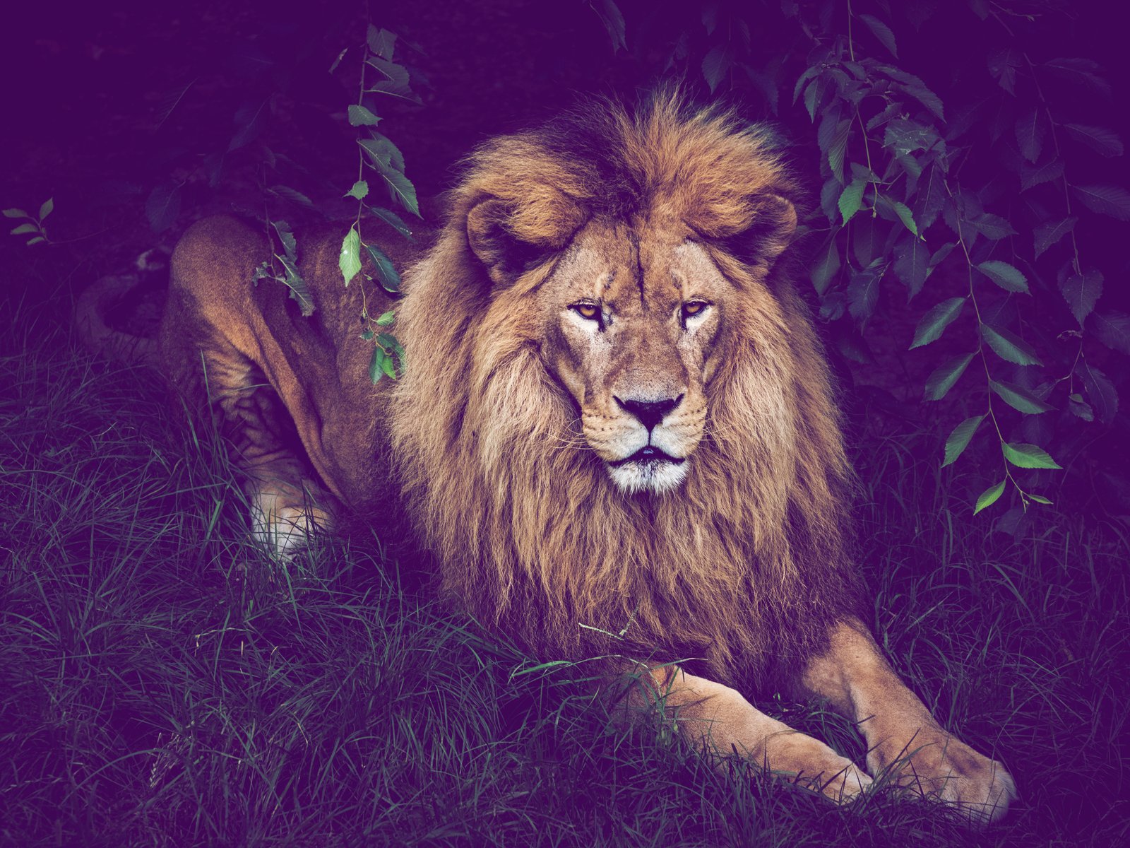 Bei Lidl im Angebot: „Die Höhle der Löwen“-Produkte krass reduziert