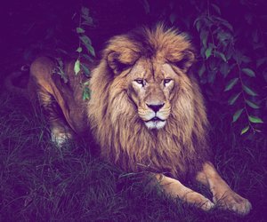 Ab heute bei Lidl im Angebot: „Die Höhle der Löwen“-Produkte krass reduziert