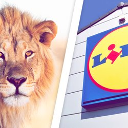 Diese Woche bei Lidl: Neue „Die Höhle der Löwen“-Produkte im Angebot