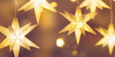 alocasia serendipity variegata Alocasia Serendipity | Plants