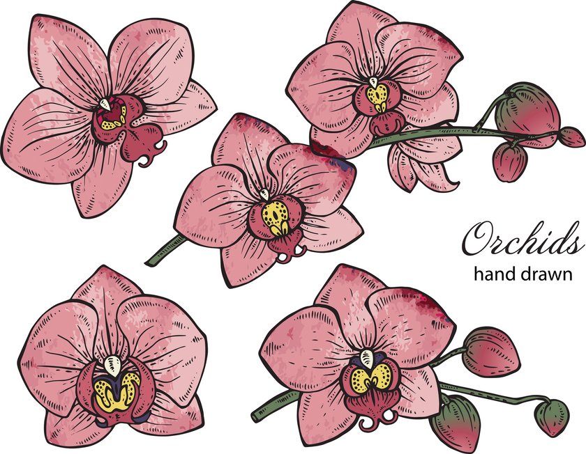 Blumen-Tattoo-Vorlage 19
