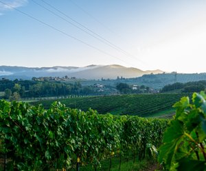 Wenn für Eltern Alpträume Realität werden: Der Thriller für Charlotte-Link-Fans