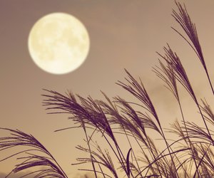 Der September-Vollmond sorgt für Gefühlschaos! Das erwartet dein Sternzeichen