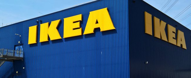 Natürliche Blumen-Deko für die Wände: Dieses Ikea-DIY verzaubert
