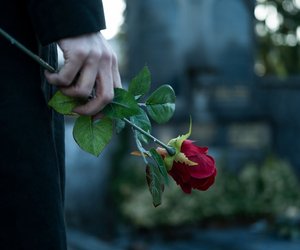 Ein Muss für Charlotte-Links-Fans: Das finstere Geheimnis aus diesem Thriller ist erschütternd