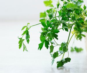 Mit diesen praktischen Tipps trocknest du Petersilie richtig