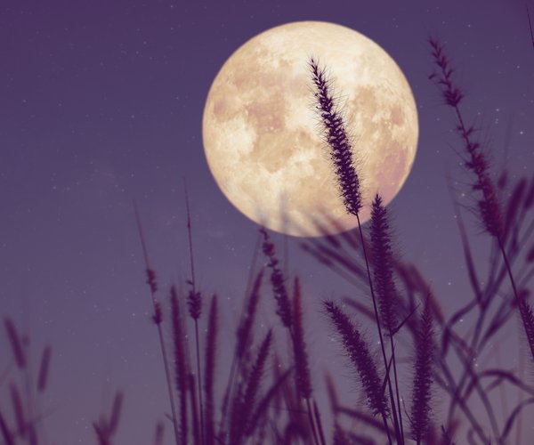 Woran Merke Ich Dass Er Mich Mag Wie merke ich, dass mich jemand mag? Auf diese subtilen Anzeichen musst