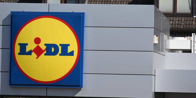 Schnäppchen: Mit dieser Heizkörperliege von Lidl hat es deine Katze kuschelig warm