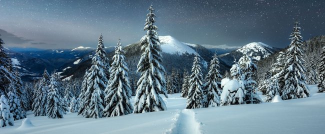 Schnee, Kälte und große Gefühle: Diese Romane machen deinen Winter unvergesslich