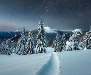 Schnee, Kälte und große Gefühle: Diese Romane machen deinen Winter unvergesslich