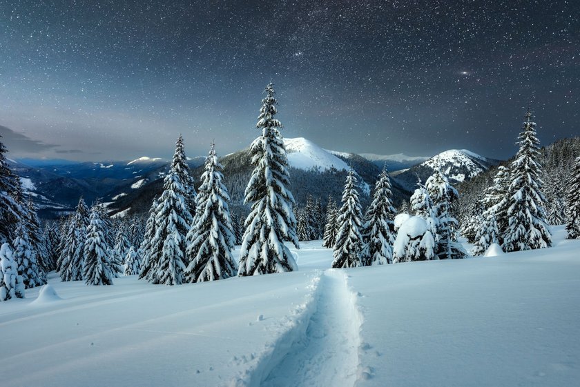 Schneelandschaft bei Nacht