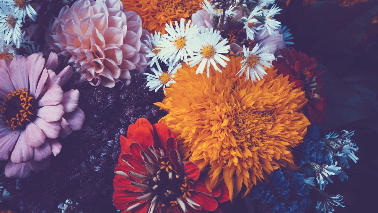 Blumen verschicken Muttertag