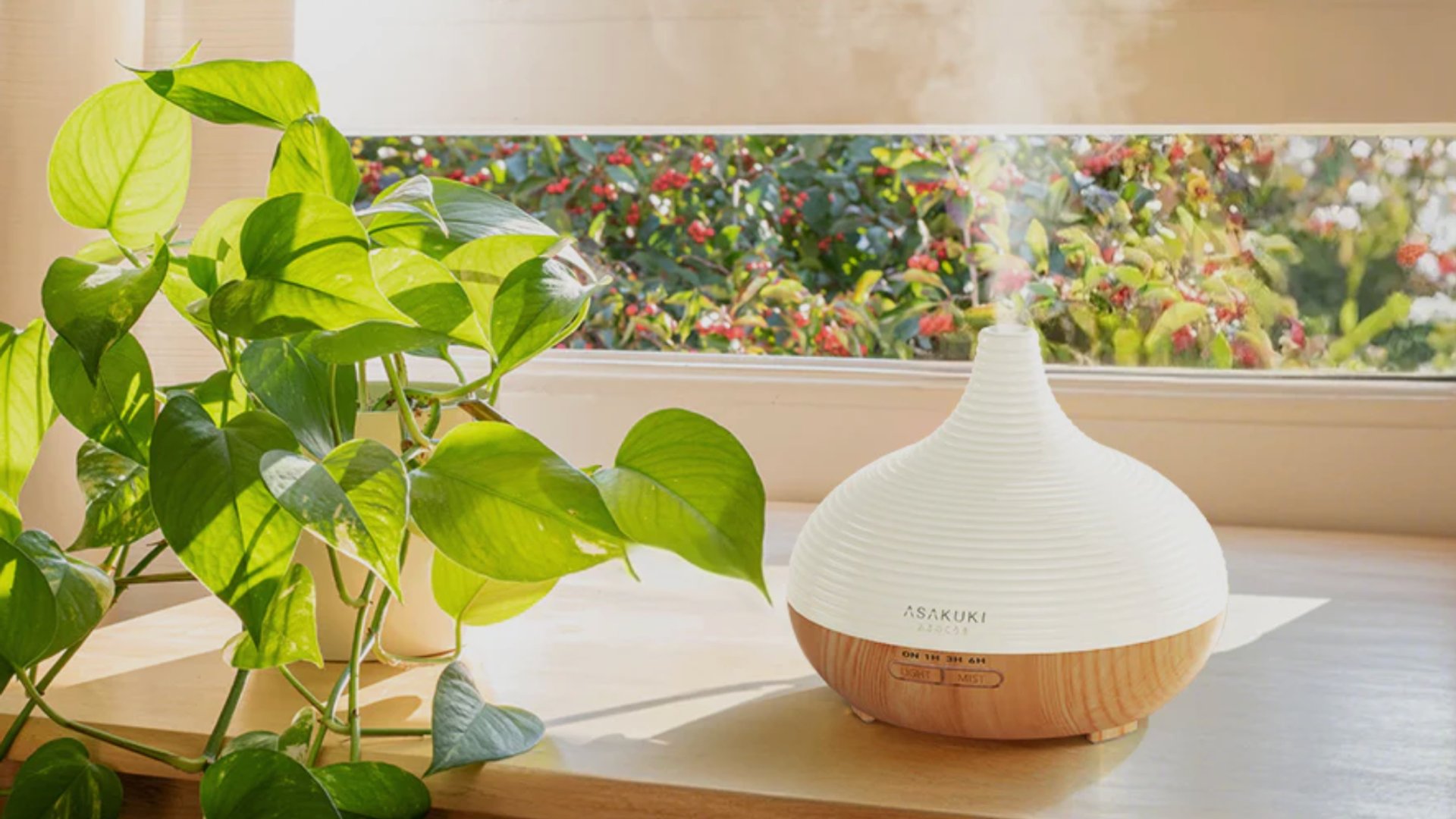 Have Diffuser Must-have für zu Hause: Aroma Diffuser für deine Wohlfühloase