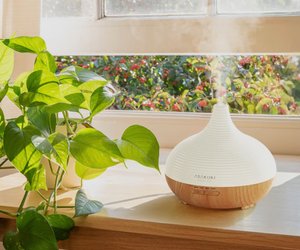 Asakuki Diffuser für 29,99 Euro: Entspannung und frische Luft in einem