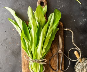 Wie gesund ist Bärlauch? Wir verraten es dir