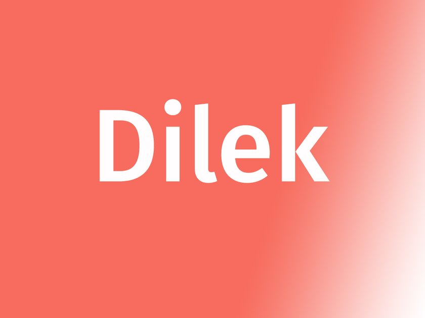 Name Dilek