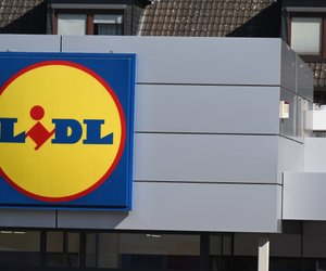Wohlfühl-Oase für deine Katze: Die günstige Heizkörperliege von Lidl