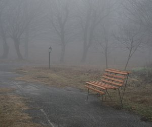 Romane wie „Die stumme Patientin“: 4 Psychothriller, die Fans von Alex Michaelides in Atem halten