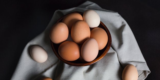 Sind Eier gesund: Kann ich bedenkenlos jeden Tag ein Ei essen?