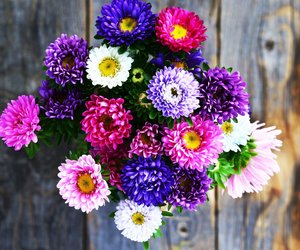 Floristin&#x20;werden&#x3A;&#x20;Voraussetzungen&#x20;f&#x00FC;r&#x20;dem&#x20;Traumberuf&#x20;mit&#x20;Blumen