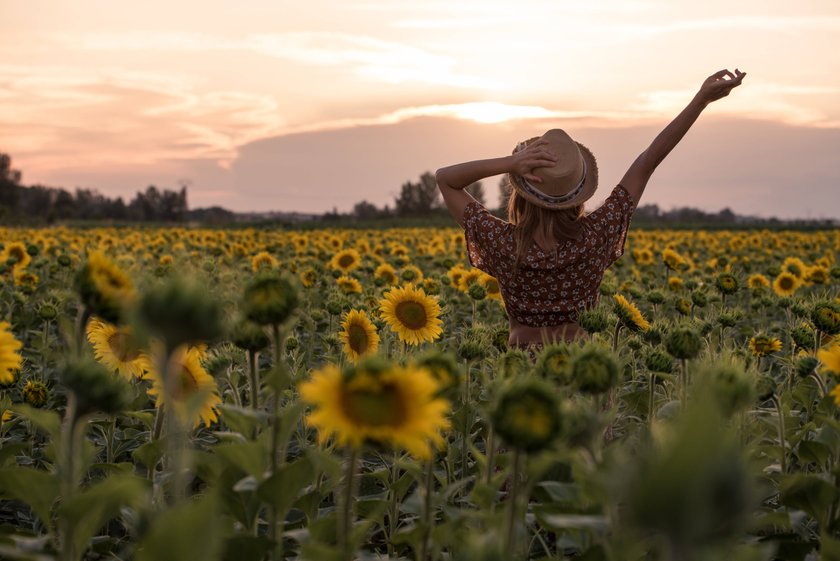 Rückansicht einer Frau in einer Wiese voller Sonnenblumen