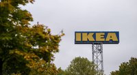 Spielzeug für Fellnasen: Dieser Ikea-Hack für Hunde ist total einfach