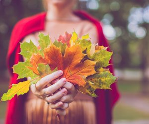 Blätter im Herbst: Warum verfärben sie sich?