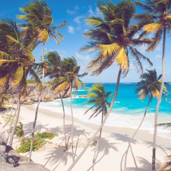 Barbados Reisetipps: 14 absolute Must-Dos für die Karibikinsel