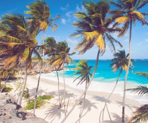 Barbados Reisetipps: 14 absolute Must-Dos für die Karibikinsel