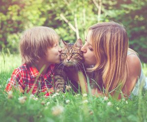 Andenken an die verstorbene Katze: 5 Wege, die Erinnerung zu wahren