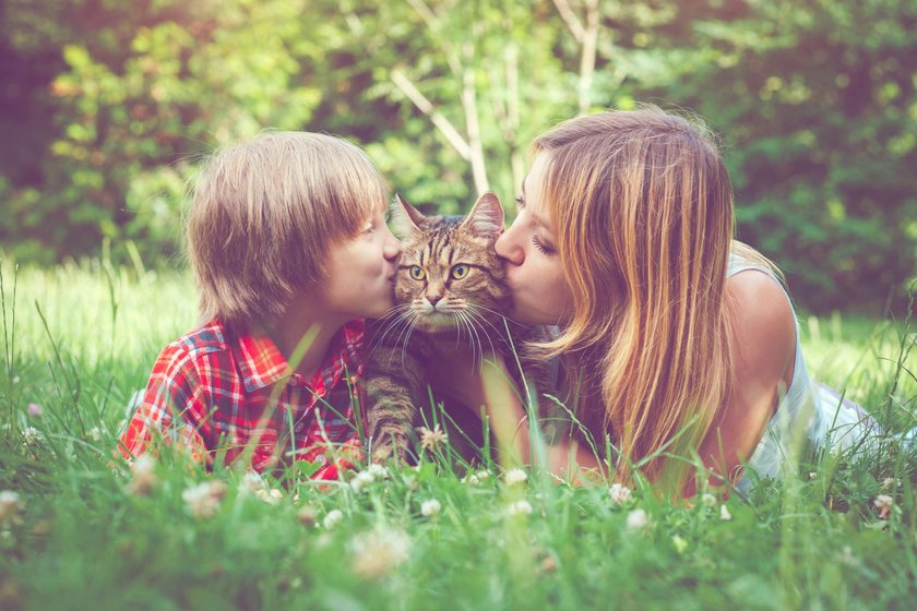 Andenken an die verstorbene Katze