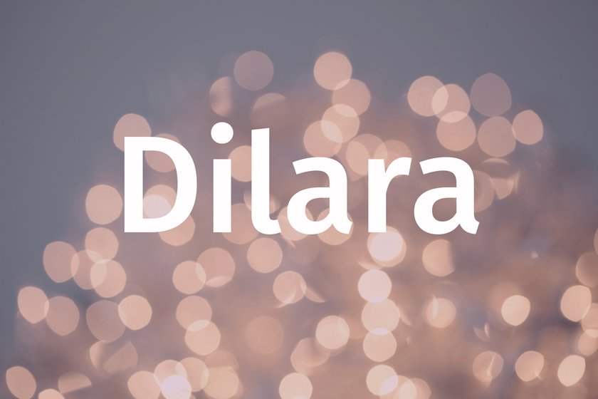 Name Dilara