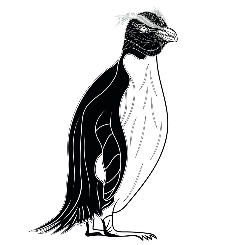 Pinguin-Tattoo Vorlage 10