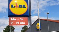 Kätzchen im Paradies: Dieses Lidl Tierbett ist ein Traum für Samtpfoten