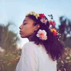 Geburtsblume: Welche du hast & was sie über dich aussagt!